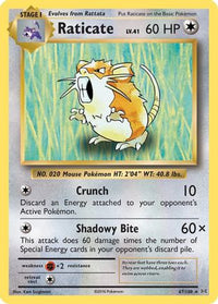 Raticate (67/108) [XY: Evolutions]