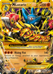 XY: Furious Fists