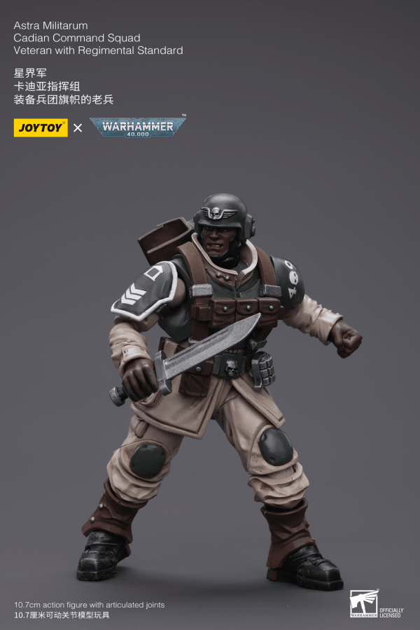 Warhammer 40K - Joytoy - Astra Militarum Cadian Command Squad Veteran with Regimental Standard - POKÉ JEUX