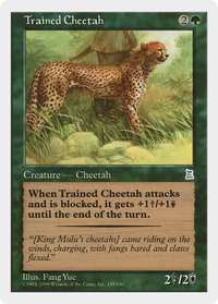 Trained Cheetah [Portal Three Kingdoms]