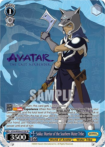 Sokka: Warrior of the Southern Water Tribe [Avatar: The Last Airbender]