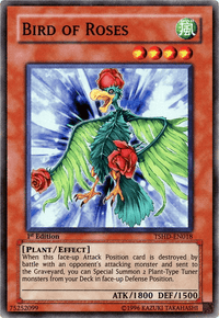 Bird of Roses [TSHD-EN018] Super Rare - POKÉ JEUX