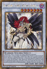 Blackwing Tamer - Obsidian Hawk Joe [PGL2-EN012] Gold Secret Rare - POKÉ JEUX