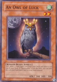 An Owl of Luck [DR1-EN021] Common - POKÉ JEUX