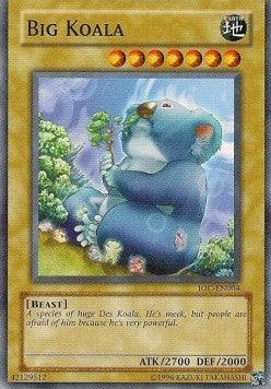 Big Koala [IOC-EN004] Common - POKÉ JEUX