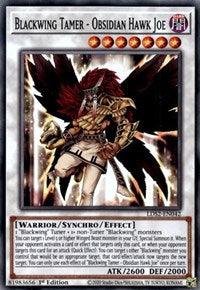 Blackwing Tamer - Obsidian Hawk Joe [LDS2-EN042] Common - POKÉ JEUX