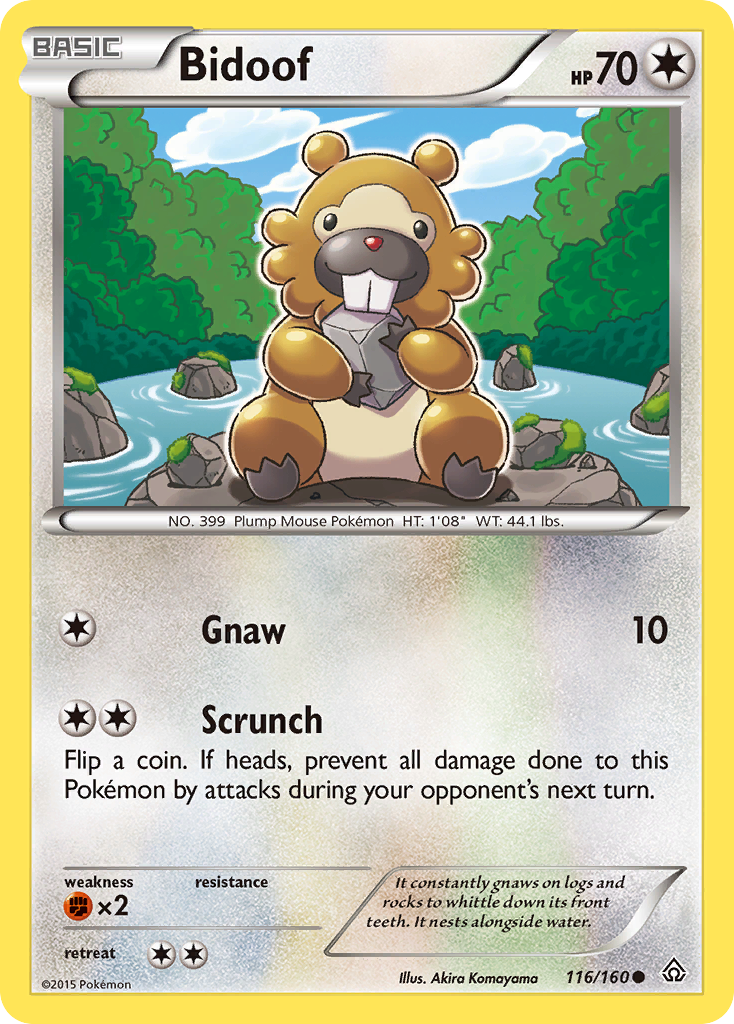 Bidoof (116/160) [XY: Primal Clash]