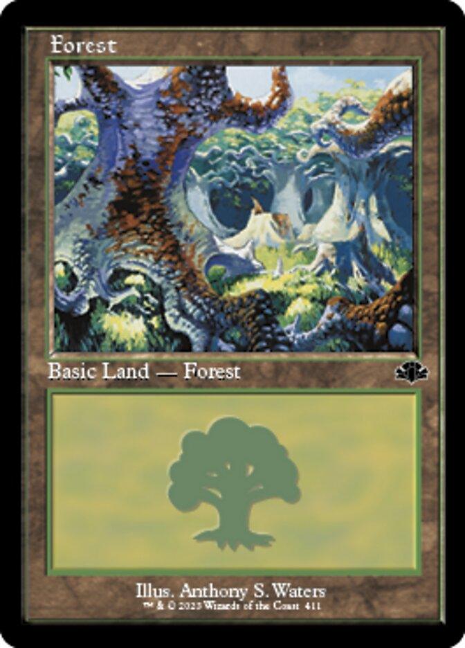 Forest (411) (Retro) [Dominaria Remastered] - POKÉ JEUX