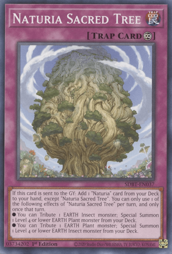 Naturia Sacred Tree [SDBT-EN037] Common - POKÉ JEUX