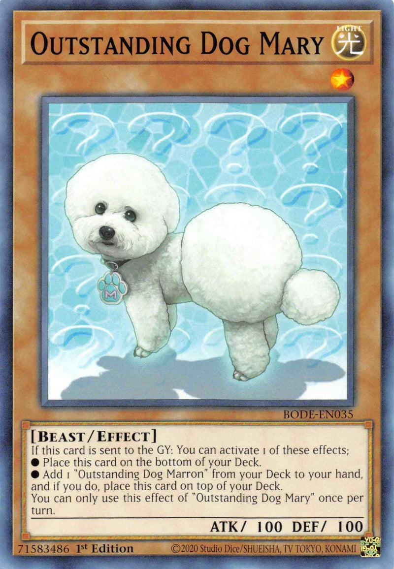 Outstanding Dog Mary [BODE-EN035] Common - POKÉ JEUX