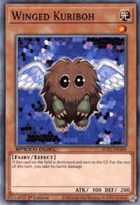 Winged Kuriboh [SGX1-ENA06] Common - POKÉ JEUX